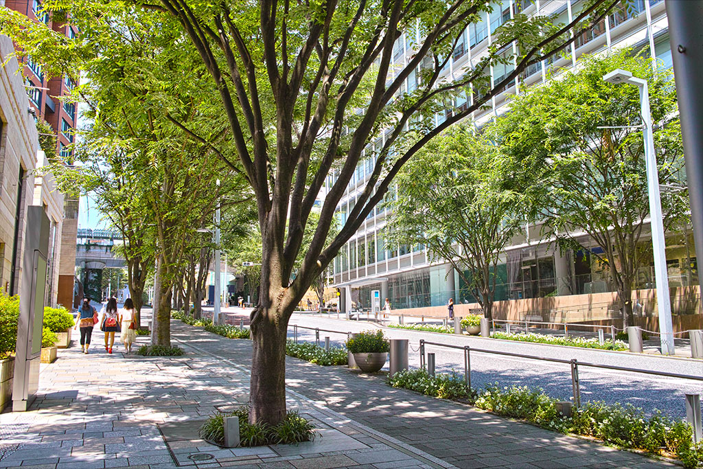 Modern cityscape around Roppongi Station with high-rise buildings and greenery