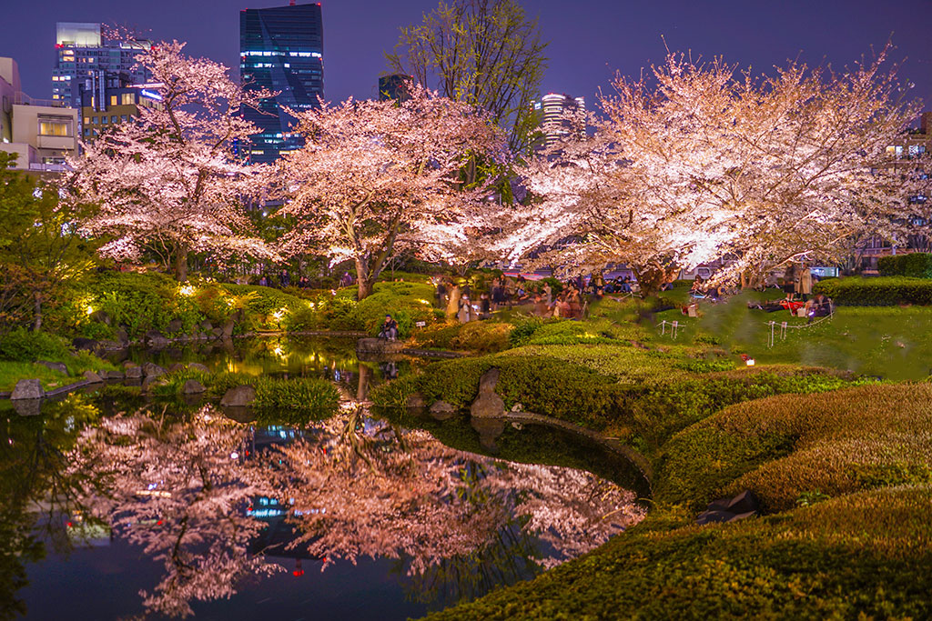 Mohri Garden at night with illuminated trees and reflections on the pond